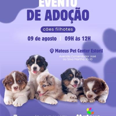 Evento de Adoção de Cães Filhotes em Bauru – Neste Sábado com Apoio da Semma