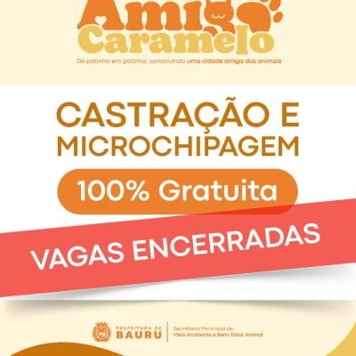 Programa Amigo Caramelo encerra cadastro da 1ª etapa de castração gratuita em Bauru