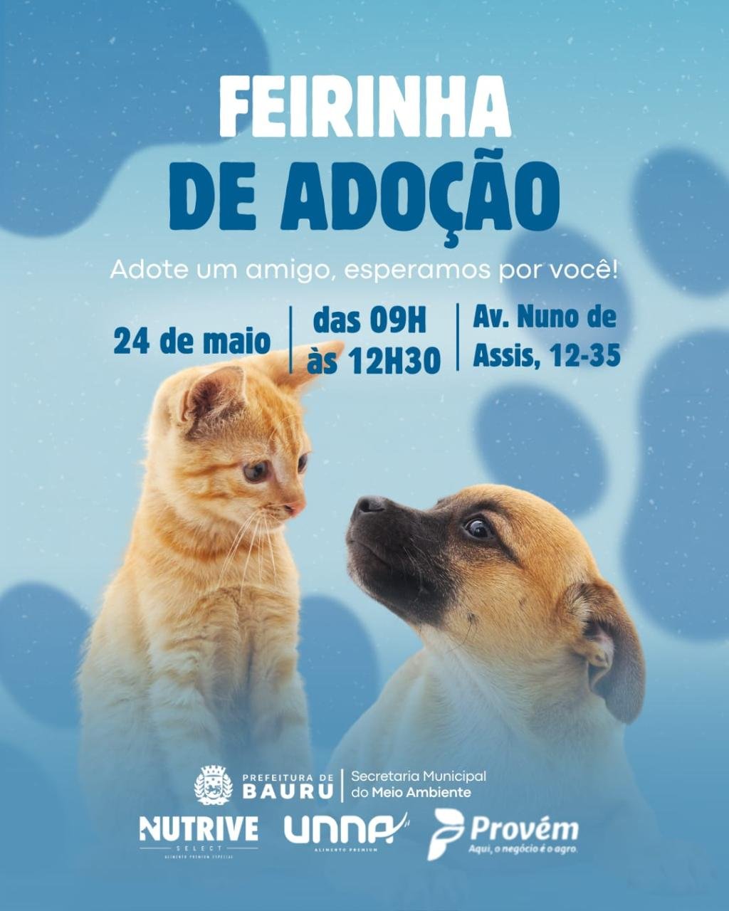 🐾 Evento de Adoção de Animais em Bauru: cães e gatos aguardam um novo lar neste sábado (24)