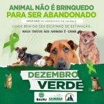 Campanha Dezembro Verde promove conscientização para combate ao abandono de animais e incentivo da adoção responsável