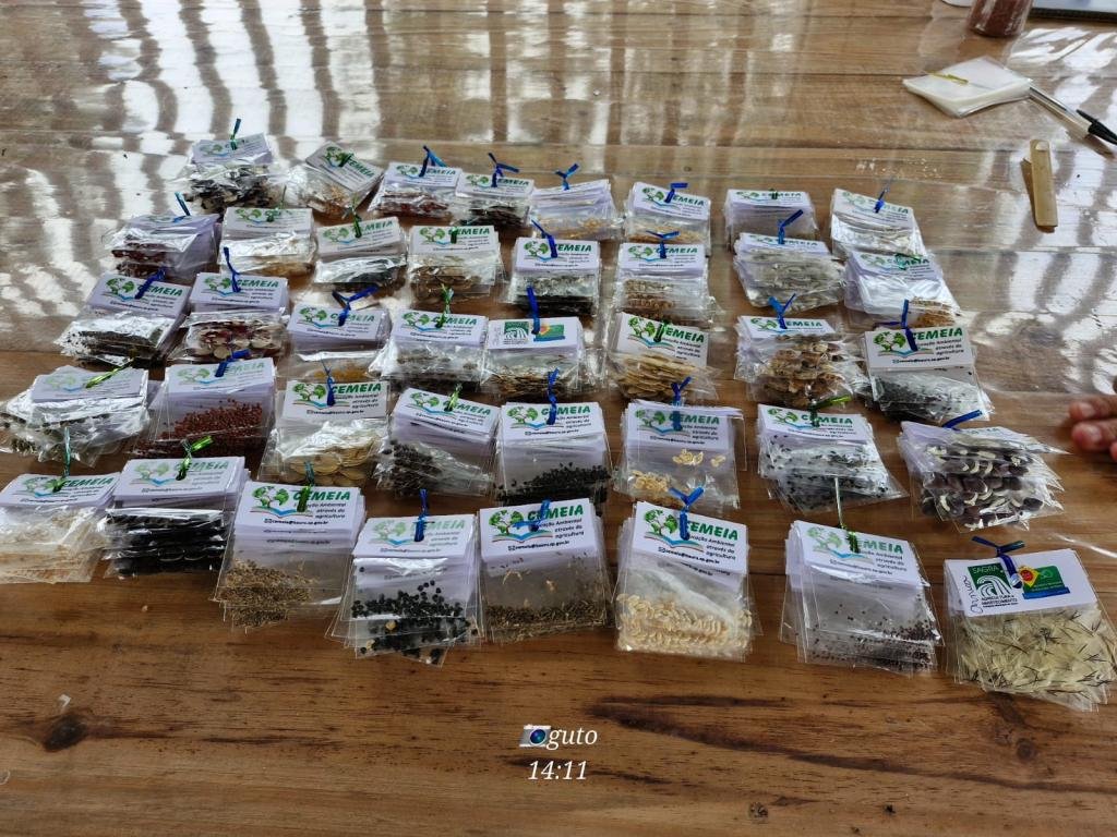 Projeto Cemeia realiza o 9º Feirão de Doação e Troca de Sementes