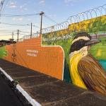 CPFL Paulista aposta em grafitagem de subestações para incentivar a segurança da população